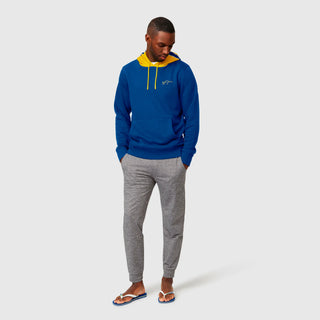 Ayrton Senna Stripe Hoody