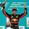 2017 Max Verstappen Race Red Bull F1 Suit - Rustle Racewears