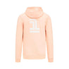 Formula 1 Tech Pastel Hoodie - Pink/Blue/Purple - Rustle Racewears